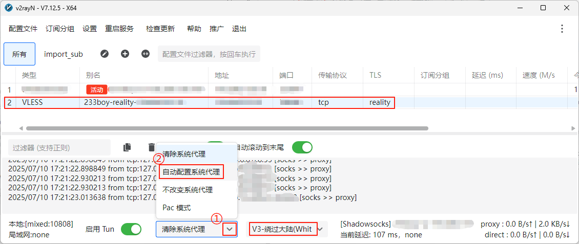 v2RayN配置